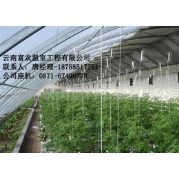 云南富农棚业(多图)_昆明温室大棚施工队哪家****