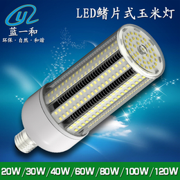 蓝一和新款LED鳍片式玉米灯套件IP65LED庭院玉米灯外壳缩略图