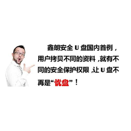 漳州安全U盘,内网安全U盘,厦门鑫朗