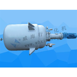 中试磁力反应釜、上海磁力反应釜、威海行雨化机(图)