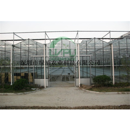 深圳绿浦玻璃温室 科研 种植温室 育苗温室 智能温控大棚