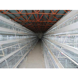 宁波蛋鸡笼生产厂家、蛋鸡笼、鸣飞鸡笼