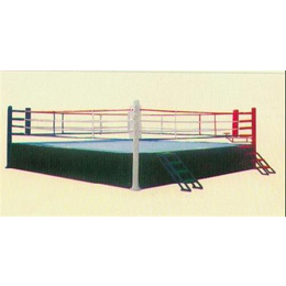 山东省拳击台、哪家拳击台生产厂家质量优(图)、猛龙体育用品