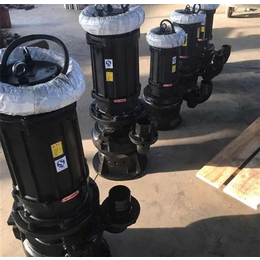 湘潭排污泵_安鸿工业泵_WQ排污泵价格