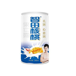 吉林核桃露|九仁食品(在线咨询)|核桃露代理