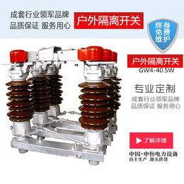 隔离开关厂家供应*GW4-40.5型隔离开关价格实惠