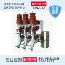 浙江厂家*FZN25-12D真空负荷开关私人订制*缩略图