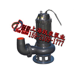 50WQ12-15-1.5搅匀污水泵、绿化水泵