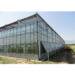 展示玻璃温室、漳州玻璃温室、芳诚玻璃温室缩略图