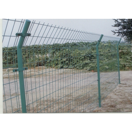厂家*铁丝围栏网 双边丝车间隔离网 养殖护栏网 规格齐全