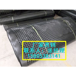蓄排水板杭州建筑排水板2.0cm车库排水板土工布