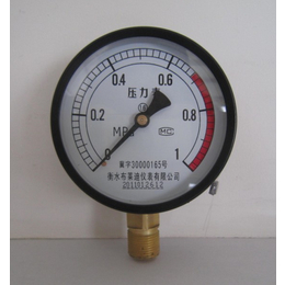布莱迪Y-100就地指示型普通压力表  生产方便 读书简单缩略图