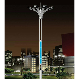 宝锦盛照明(图)|30米高杆灯|赣州高杆灯