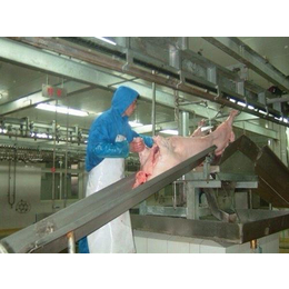 深圳市杀猪屠宰设备,南京沃特屠宰机械,杀猪屠宰设备