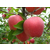 山东苹果产地精品红富士苹果市场批发价格缩略图2