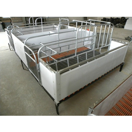养猪设备母猪产床欧式产床单体复合式产床厂家*缩略图