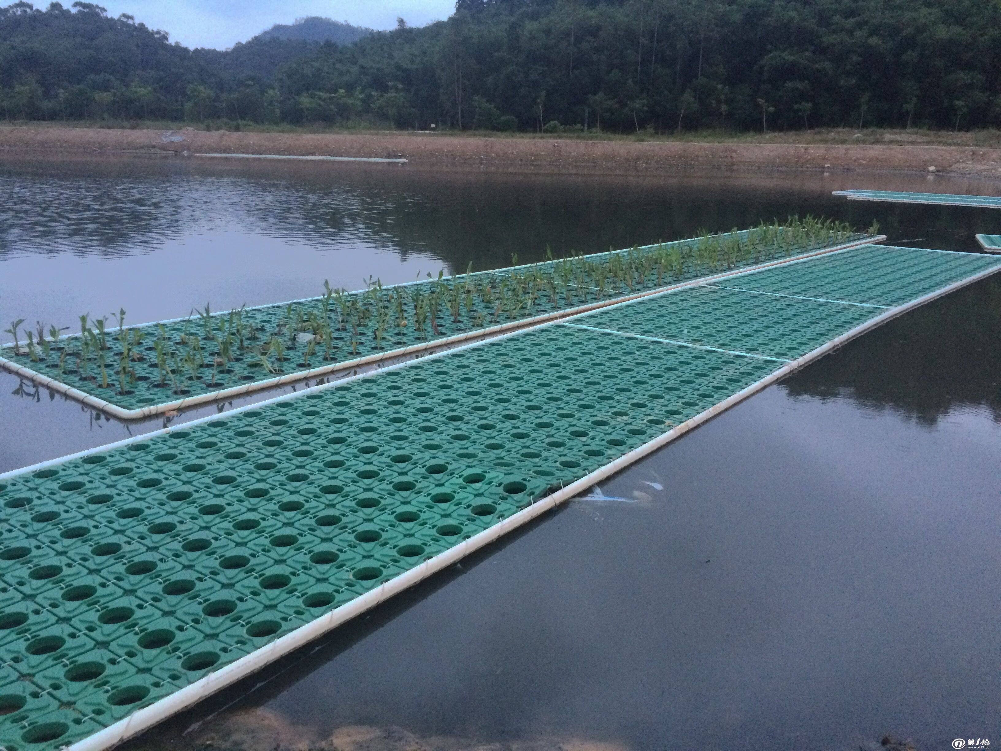 环保生态浮岛人工生态种植浮床 城市河道景观浮岛