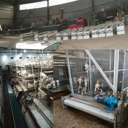 江海机械(图)|阶梯式蛋鸡皮带清粪机|荆州清粪机
