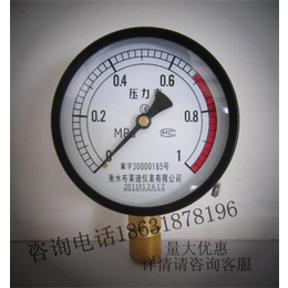 	 布莱迪一般压力表 Y-100 锅炉压力表 水压表