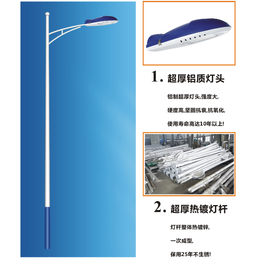 农村用电路灯 家庭小院led路灯厂家批发