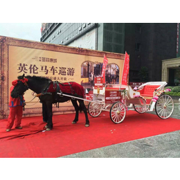 深圳唯美浪漫欧式观光马车哪里有出租