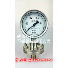 布莱迪0-1Mpa螺纹式不锈钢 隔膜压力表 气压表