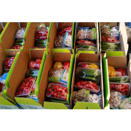 喜英农业(图)、蔬菜礼盒社区推广方案、蔬菜礼盒