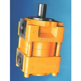 NT2-G10F液压机齿轮泵