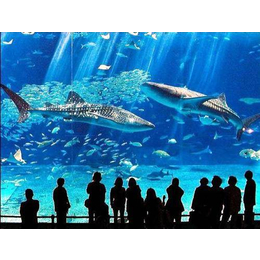 海洋生物展明细价格海狮表演出租海洋展*鱼缸展租赁