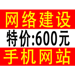 广东东莞玖云建站10年专注网站建设企业网站****定制