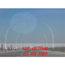 重庆路灯杆厂家 重庆5-12米灯杆 缩略图