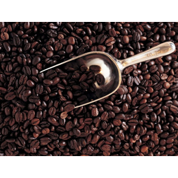 上海咖啡豆进口通关流程详解