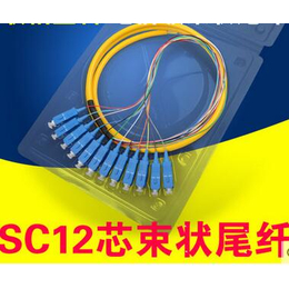 厂家*12芯束状尾纤SC方头FC圆头单模光纤跳纤电信级