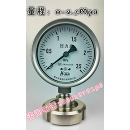 布莱迪YTNP-100MF耐高温隔膜压力表油气传输压力表