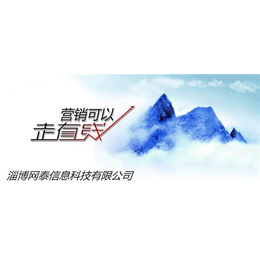 网络推广|枣庄网络推广外贸推广|淄博网泰科技(多图)