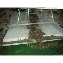 益阳清粪机|江海养殖机械(在线咨询)|履带式自动清粪机