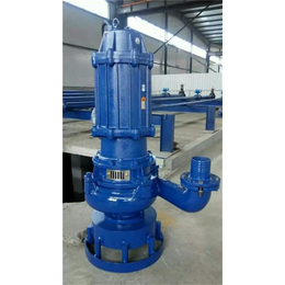 NSQ800-25-110潜水泥浆泵_石鑫水泵(在线咨询)