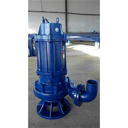 NSQ300-50-90潜水泵/渣浆泵|石鑫水泵(在线咨询)