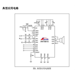 8W单声道功放|8W单声道功放ANT8815|自带升压