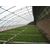 浩铭温室、温室蔬菜大棚、钢结构温室蔬菜大棚缩略图1