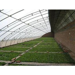 浩铭温室、温室蔬菜大棚、钢结构温室蔬菜大棚缩略图