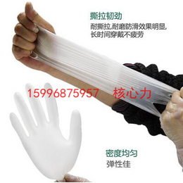爱马斯GPX3C一次性PVC手套 无粉实验手套 食品级手套