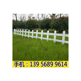 安徽 亳州蒙城PVC草坪护栏 绿化PVC塑钢护栏工厂生产
