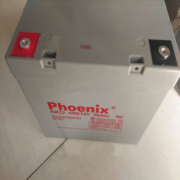 凤凰phoenix蓄电池KB122000铅酸免维护10HR缩略图