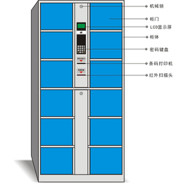 寄存柜厂家*|番禺寄存柜|强固(在线咨询)