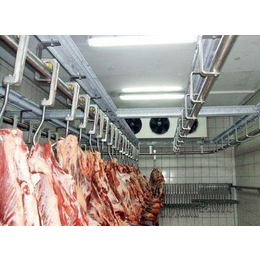 上海低温肉类冷冻库安装建造设计及低温冷库造价