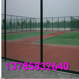 球场绿色围网   体育场*围栏     运动场围栏高度