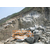 青海贵德县萤石矿开采设备静态手持设备 迪戈裂石机缩略图3