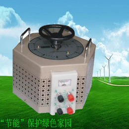新款特卖天津三一六电气TSGC接触式调压器供应厂家