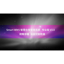 智慧仓储管理系统Smart WMS****版V3.0缩略图